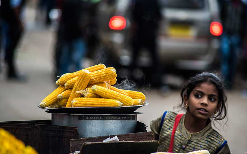 Corn Seller