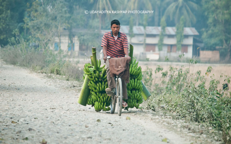 Banana Seller